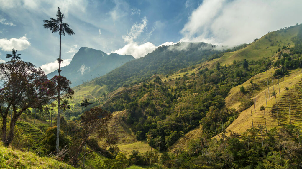 Los Nevados National Park: Colombia’s Snowy Peaks