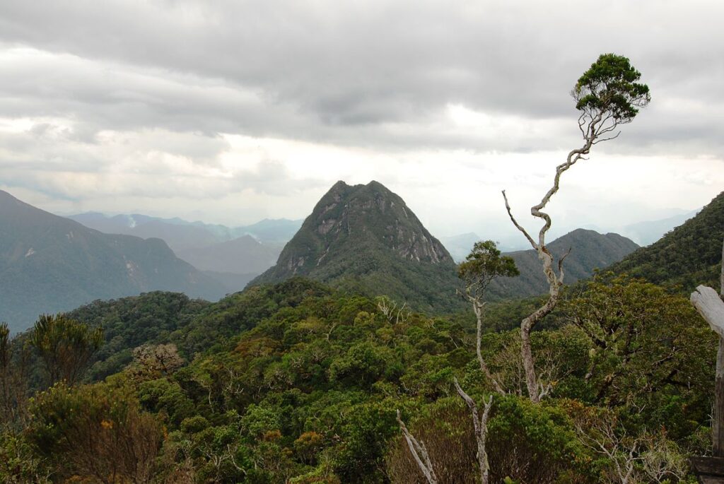 Betampona Reserve: Remote Biodiversity in the Eastern Region