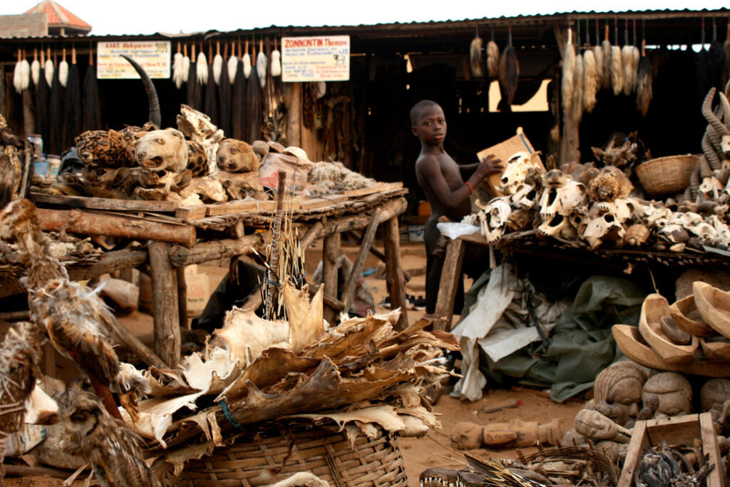 Victoria Falls Craft Market – Handmade Souvenirs