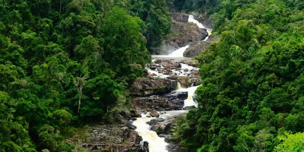 Ranomafana National Park: Lush Rainforest in Fianarantsoa