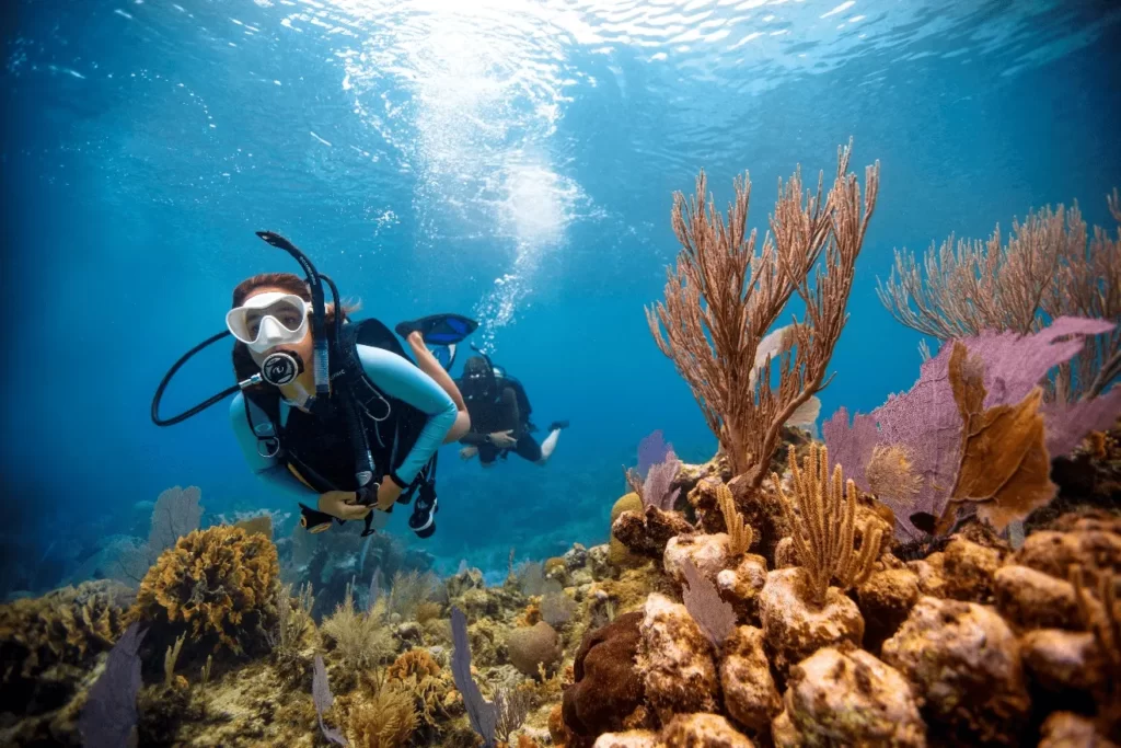 Ile Aux Récifs, Praslin – Coral Island for Diving