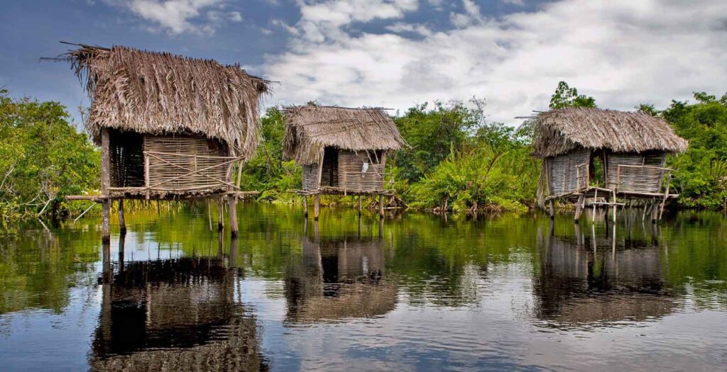 Explore the San Blas Mangroves in Nayarit