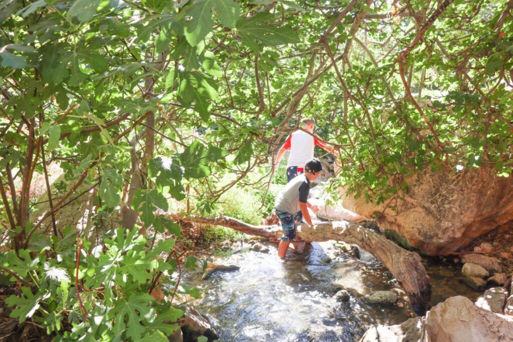 Mount Carmel National Park, Haifa – Hike the Lush Trails