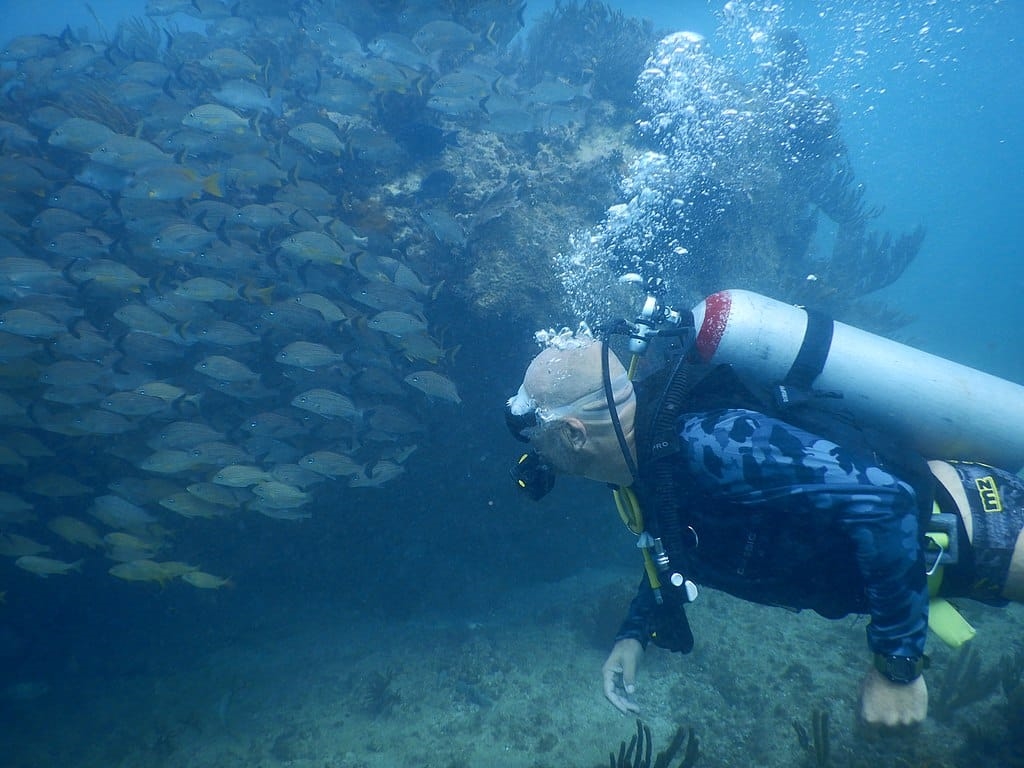 Go Diving in Puerto Morelos National Reef Park