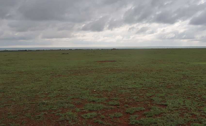 Liben Plains in Borana Zone – Birding Spot for Endemics