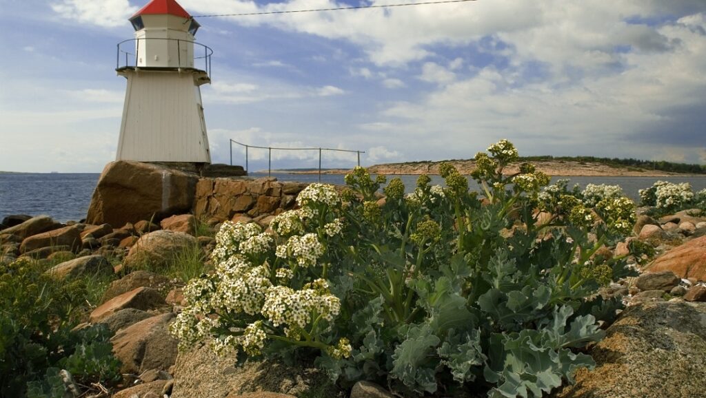 Explore the Coastal Islands of Hvaler