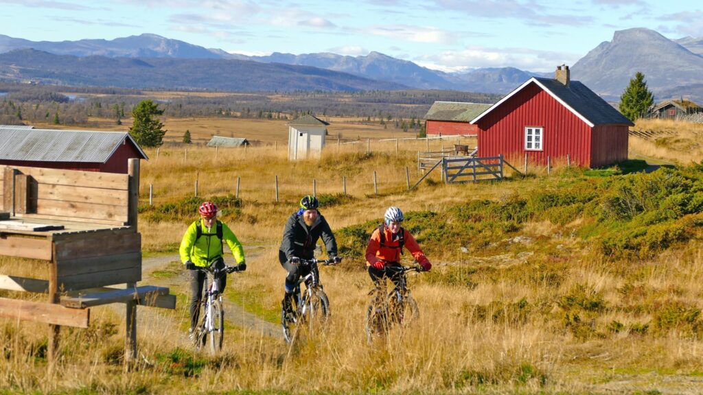 Cycling Along the Scenic Routes of Valdres