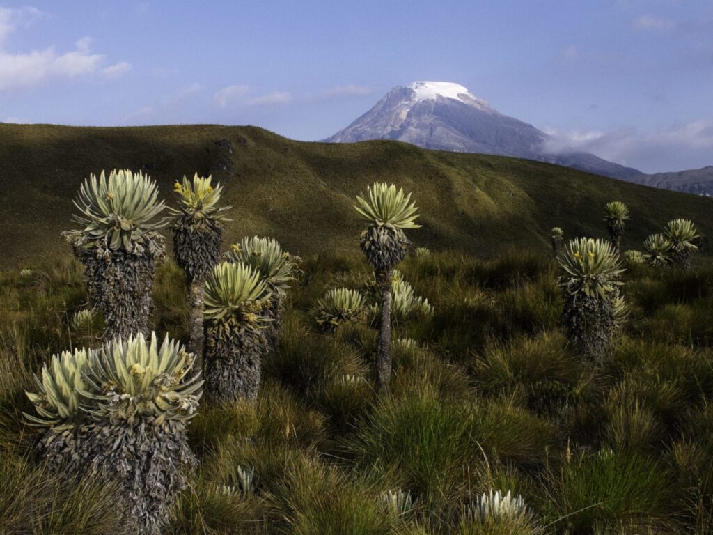 Tolima Volcano: Majestic Peak in Central Colombia