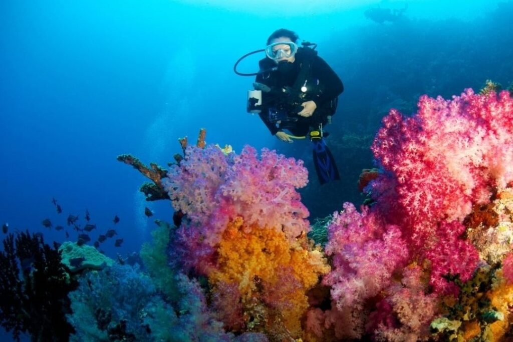 Coral Coast: Resorts and Coral Reefs Along Viti Levu