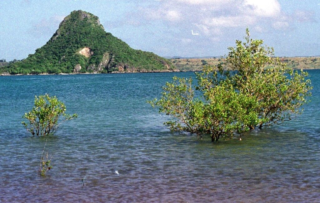 Amber Mountain National Park: Volcanic Landscapes in Diego Suarez