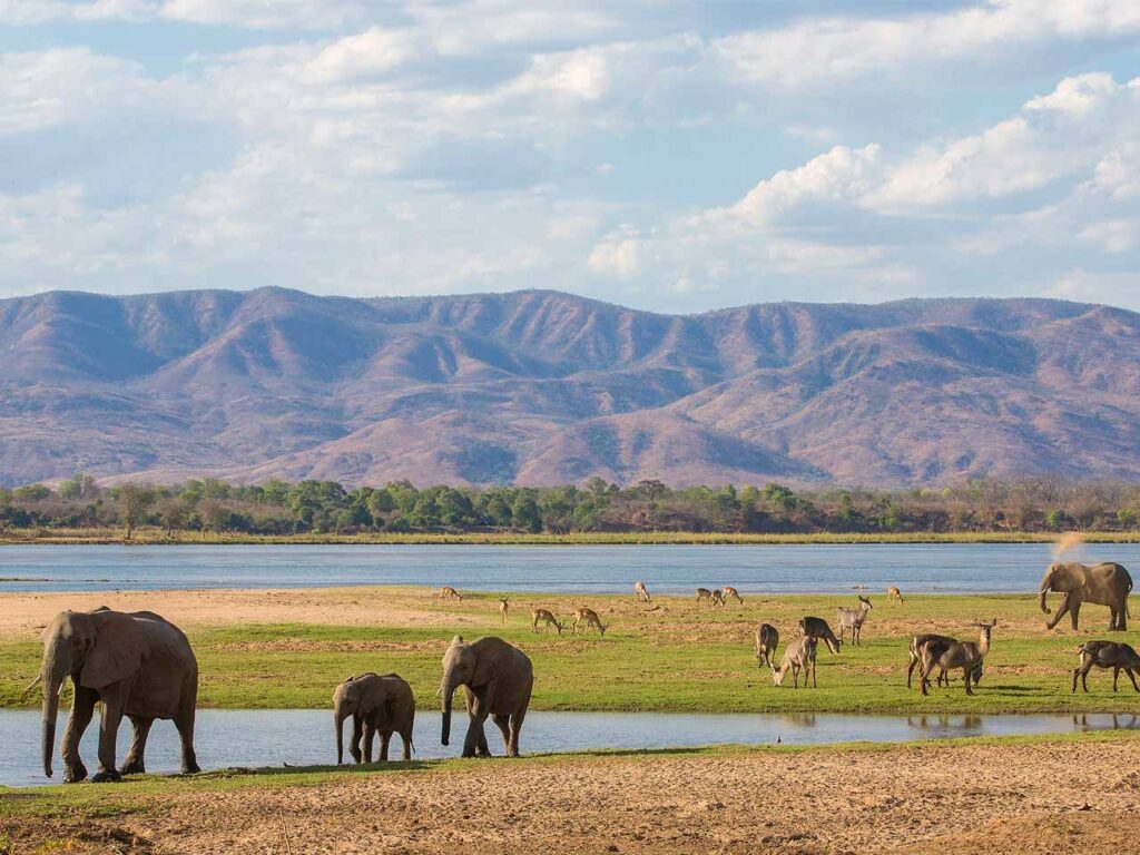 Mana Pools National Park Canoe Safari