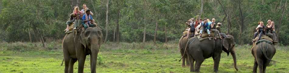 Parsa Wildlife Reserve: Wildlife Haven Near Birgunj