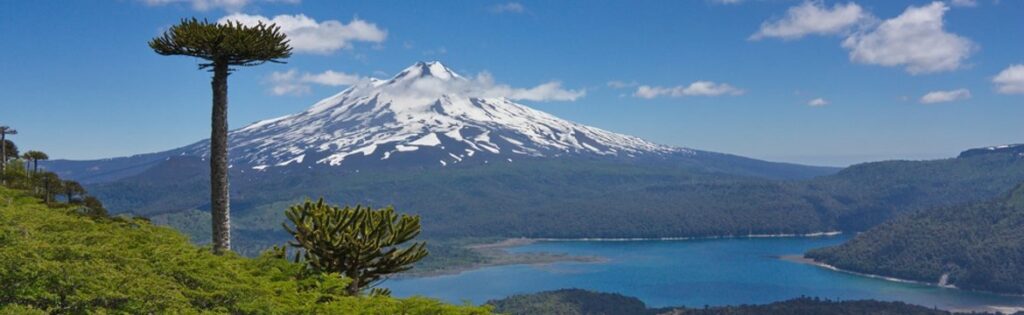 Scenic Views in Conguillio National Park, Chile