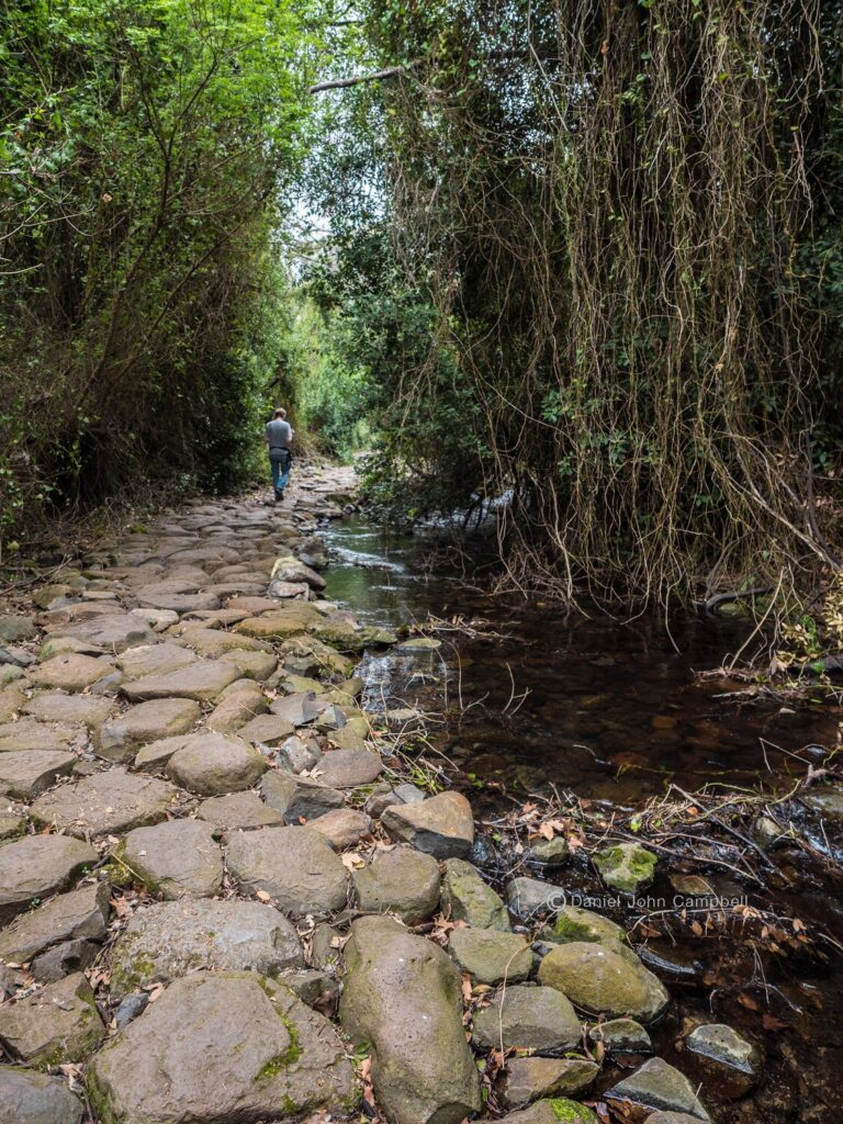 Tel Dan Nature Reserve, Upper Galilee – Hike the Lush River Trails