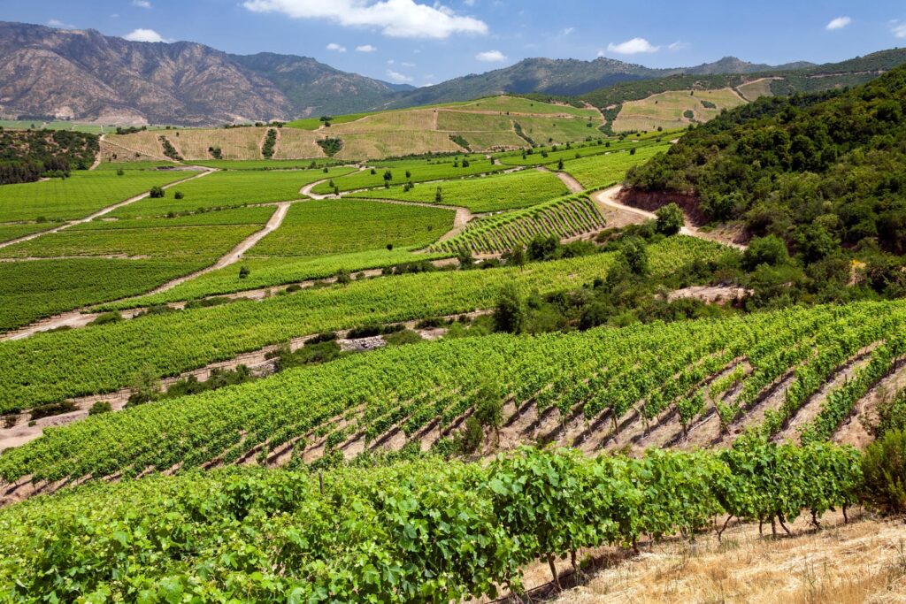 Wine Tours in the Colchagua Valley, Chile