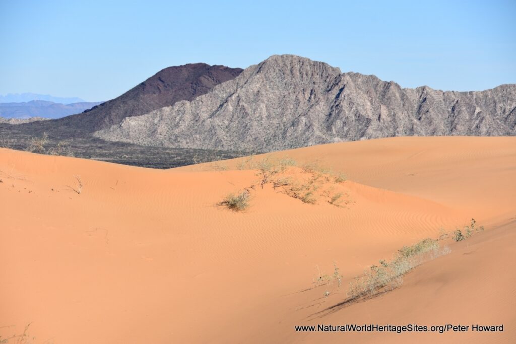 Explore the Desert of Altar in Sonora