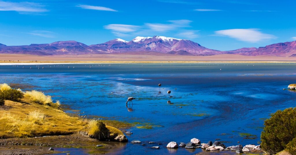 Exploring the Hidden Beaches of the Atacama Coast, Chile