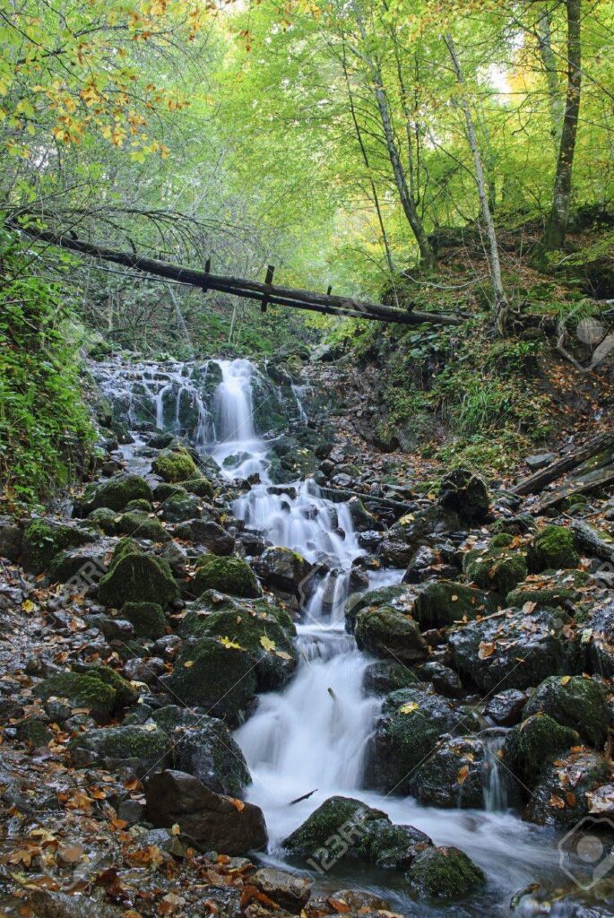 Yedigoller National Park: Scenic Lakes in Bolu