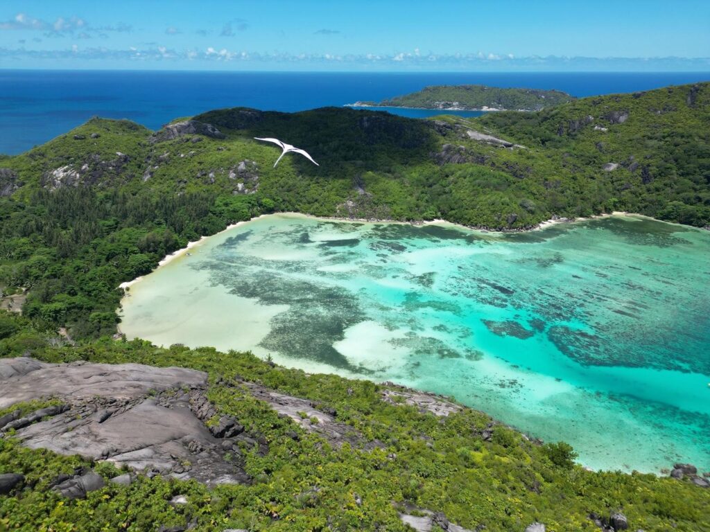 Anse Ternay, Mahe – Stunning Marine Reserve