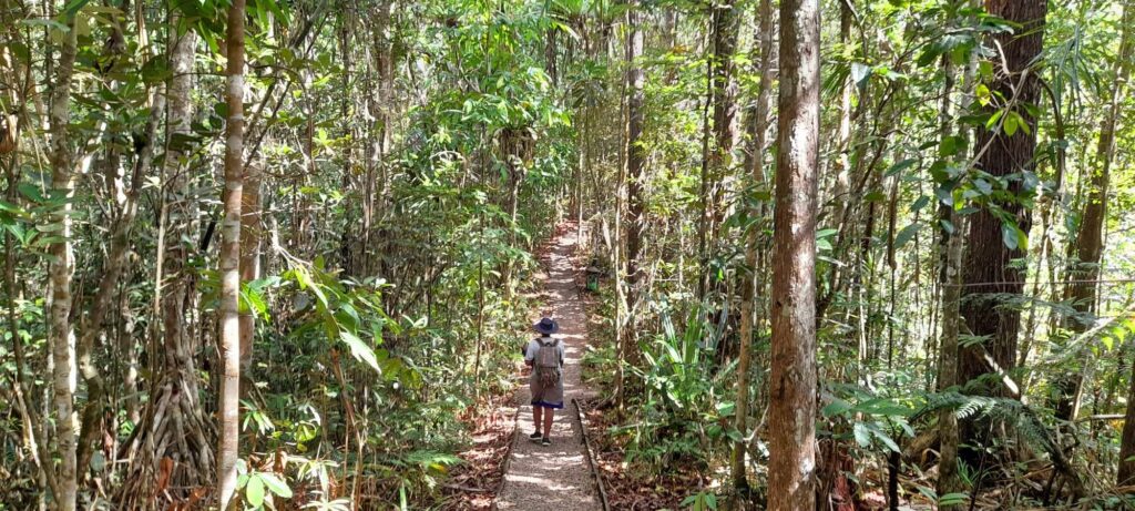 Colo-i-Suva Forest Park: Rainforest Trails and Waterfalls Near Suva