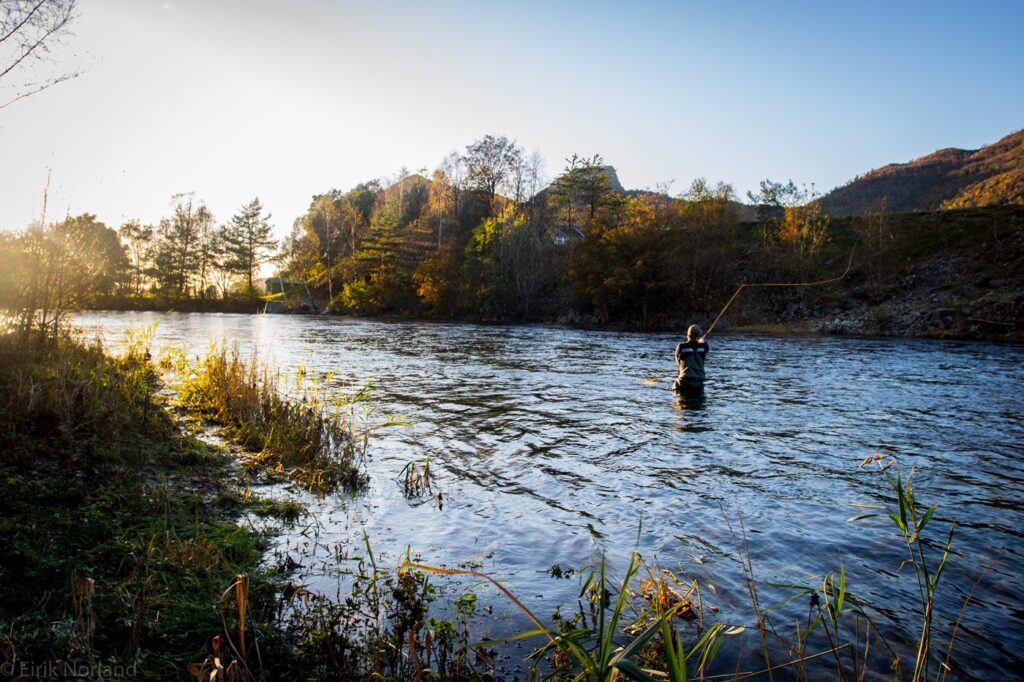 Fishing in the Lush Rivers of Telemark