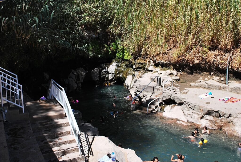 Exploring the Oasis of Pica, Tarapacá Region