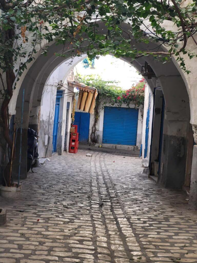 Exploring the Vibrant Souks of Tunis