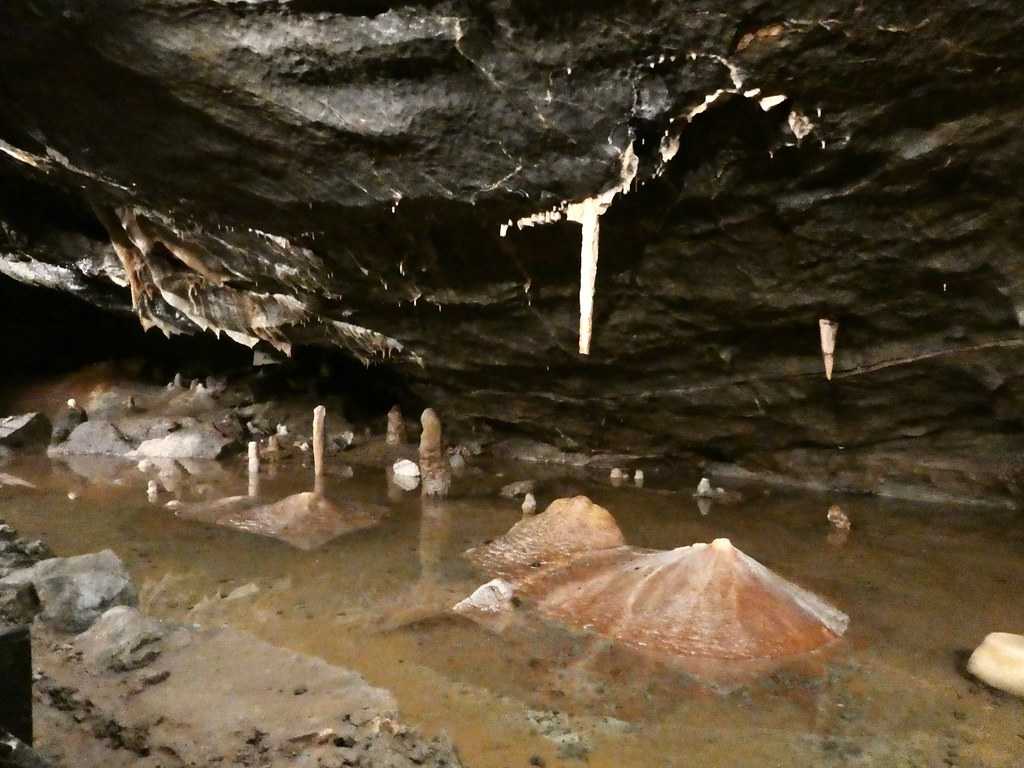 The Caves of Cheddar Gorge: A Natural Wonder