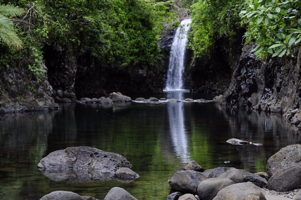 Wainibau Waterfall: Scenic Hike on Taveuni