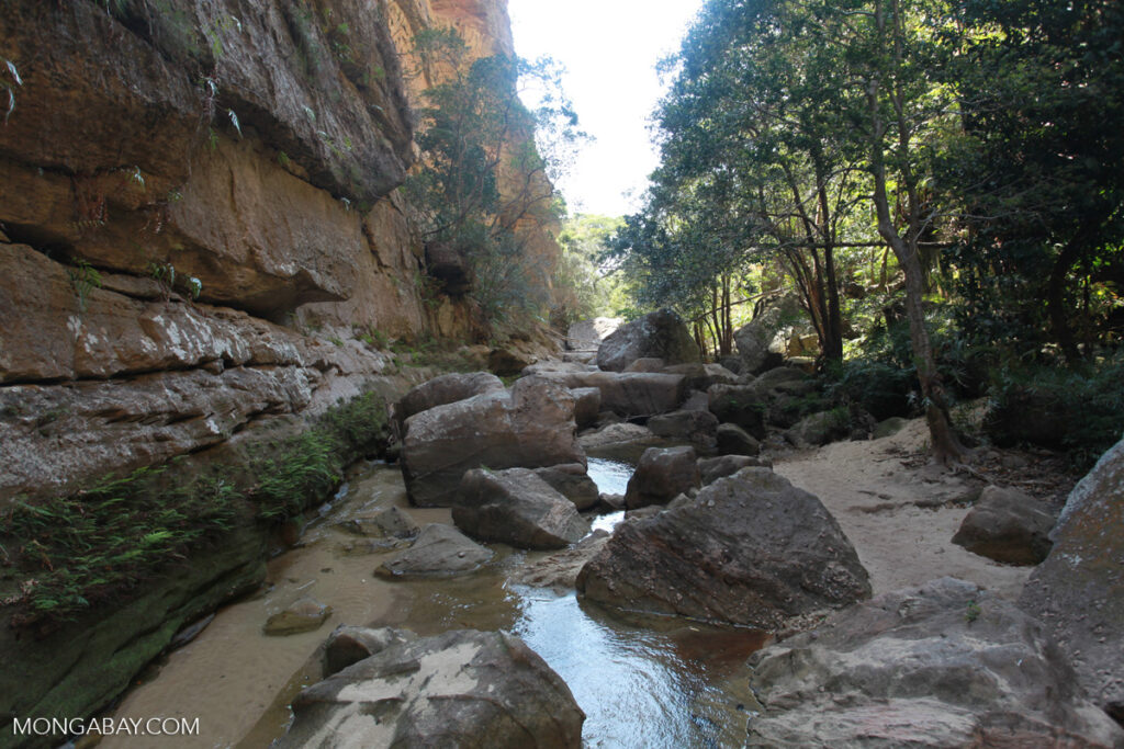 Canyon des Makis: Striking Rock Formations Near Isalo