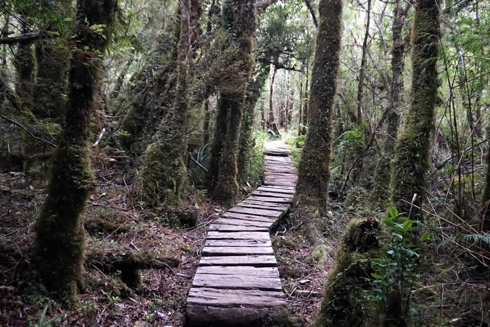 Exploring the Pumalin Douglas Tompkins National Park, Chile