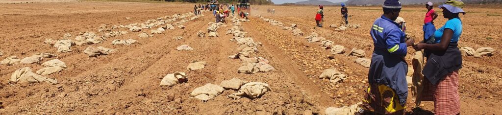 Lion’s Den Market – Fresh Produce on the Harare-Chirundu Road