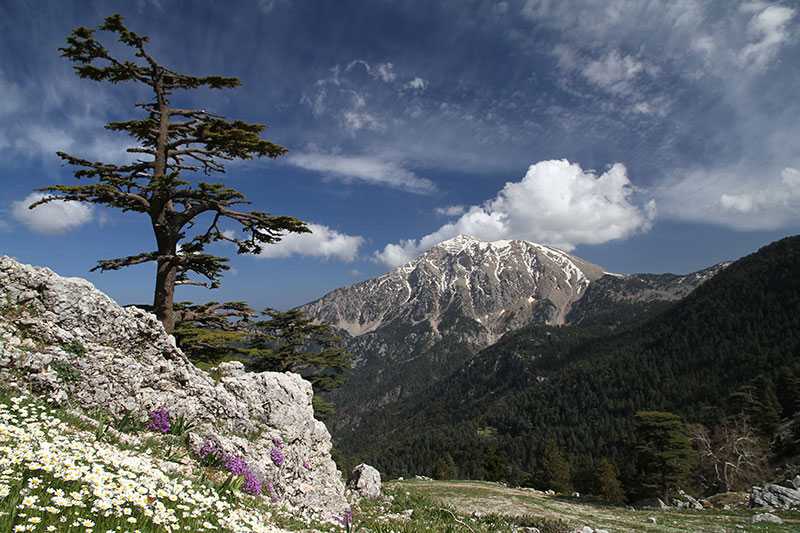 Akseki Plateau: Scenic Plateau in Antalya