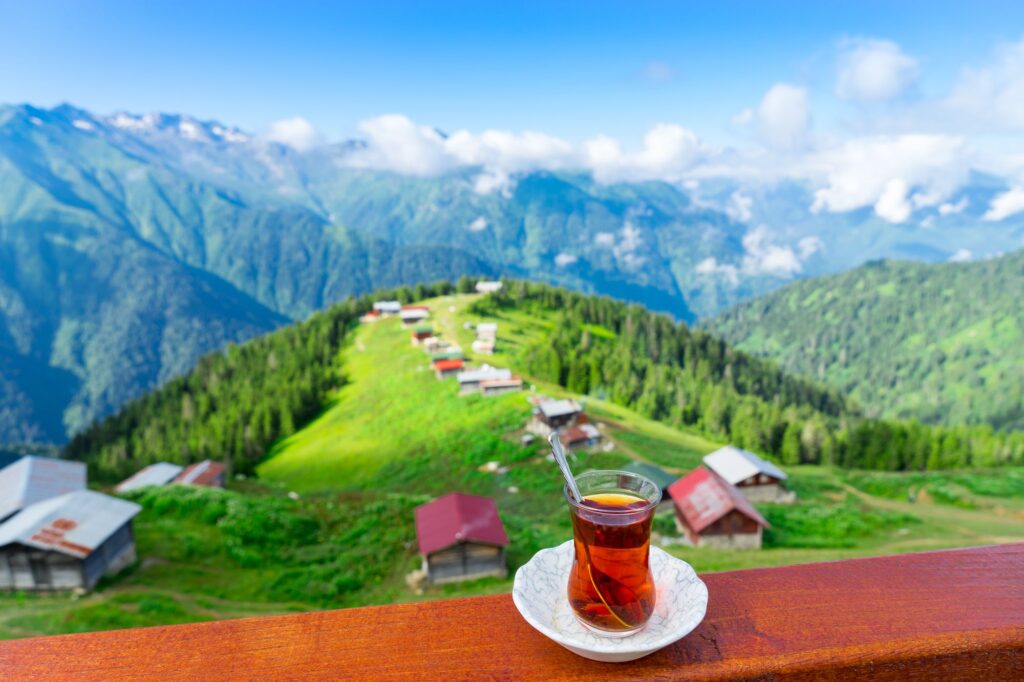 Ayder Plateau: Scenic Highland in Rize