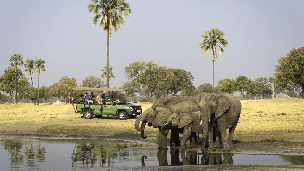 Hwange National Park Wildlife Safaris