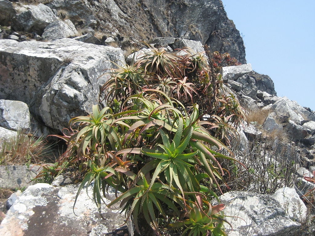 Chimanimani Mountains – Hiking Trails and Nature