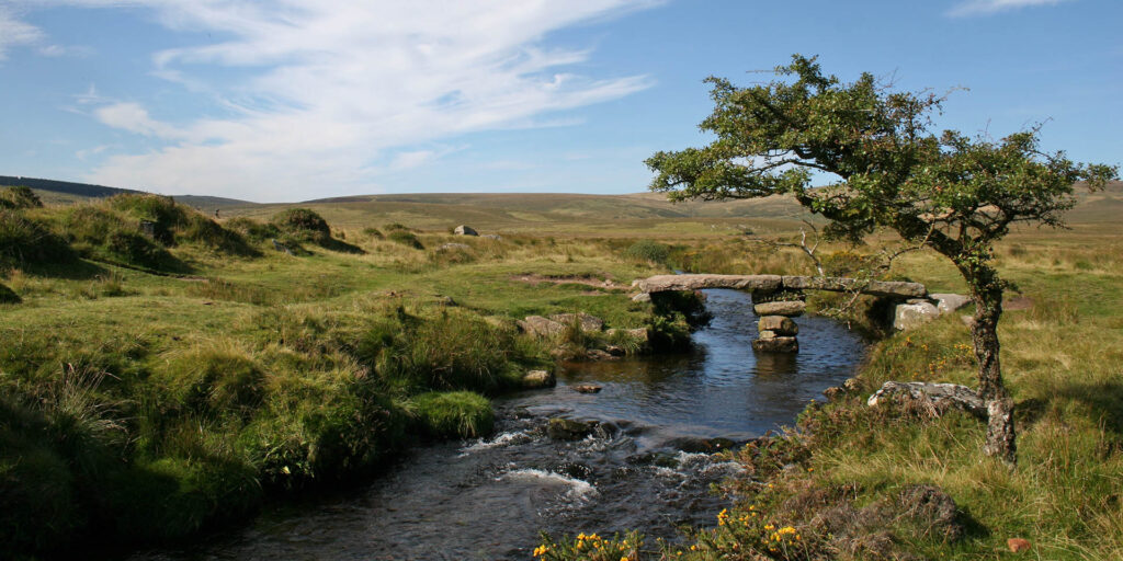 Dartmoor National Park: Wild Beauty in Devon