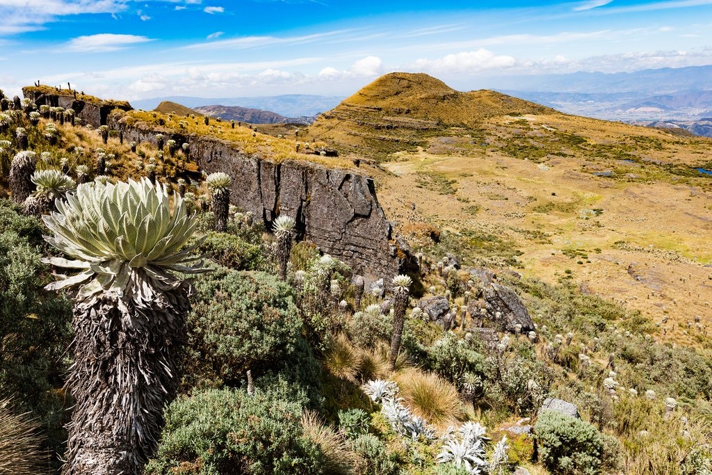 Yopal Llanos: Colombia’s Eastern Plains