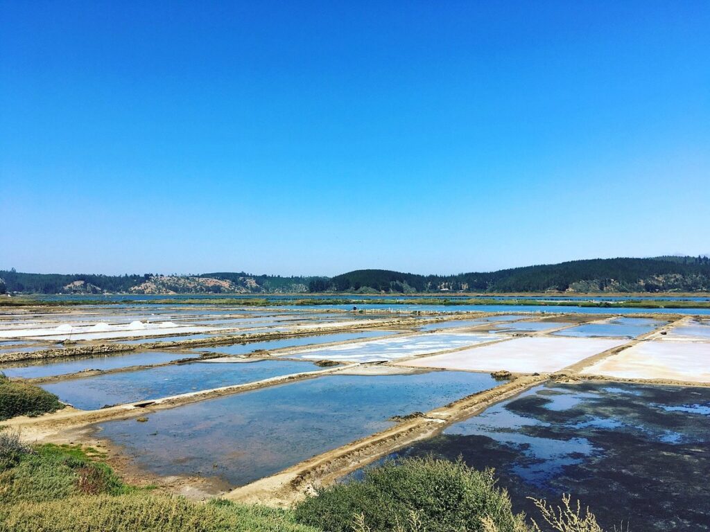 Exploring the Salinas de Cahuil, Pichilemu