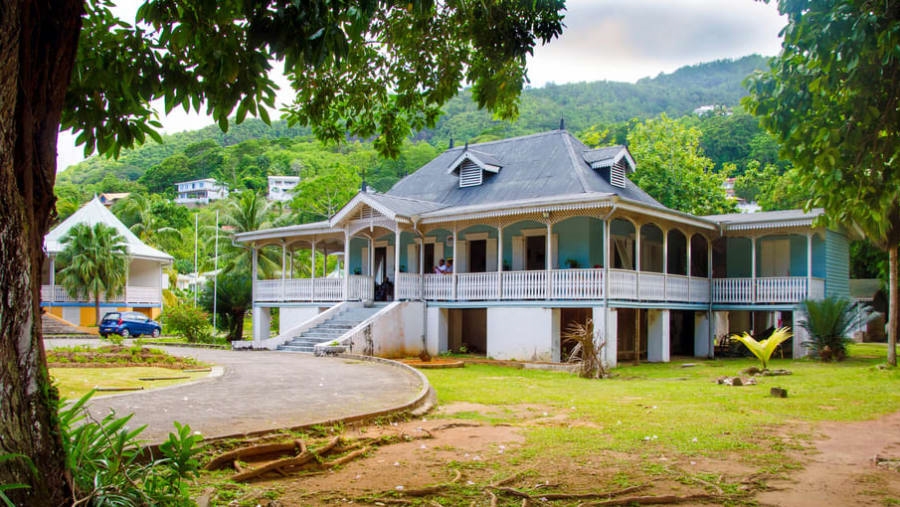 The Tea Factory, Mahe – Learn About Tea Production