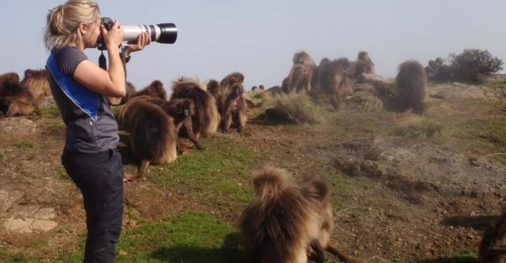 Genet Mountain in Simien Mountains – Rare Wildlife Spotting