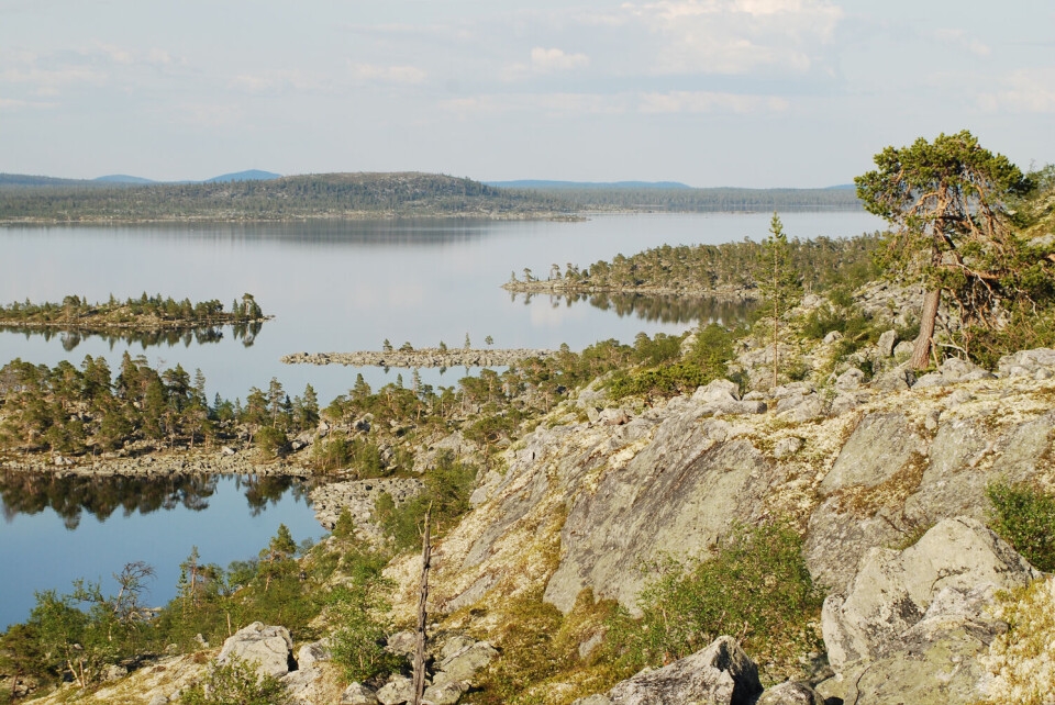 Fishing in the Lakes of Femundsmarka National Park