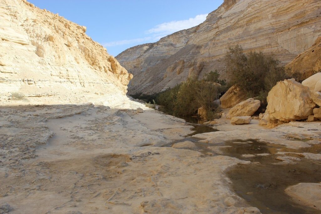 Ein Avdat, Negev Desert – Hike to the Canyon and Waterfall