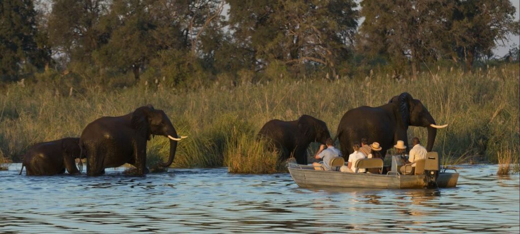 Zambezi River – Fishing and Wildlife Safari