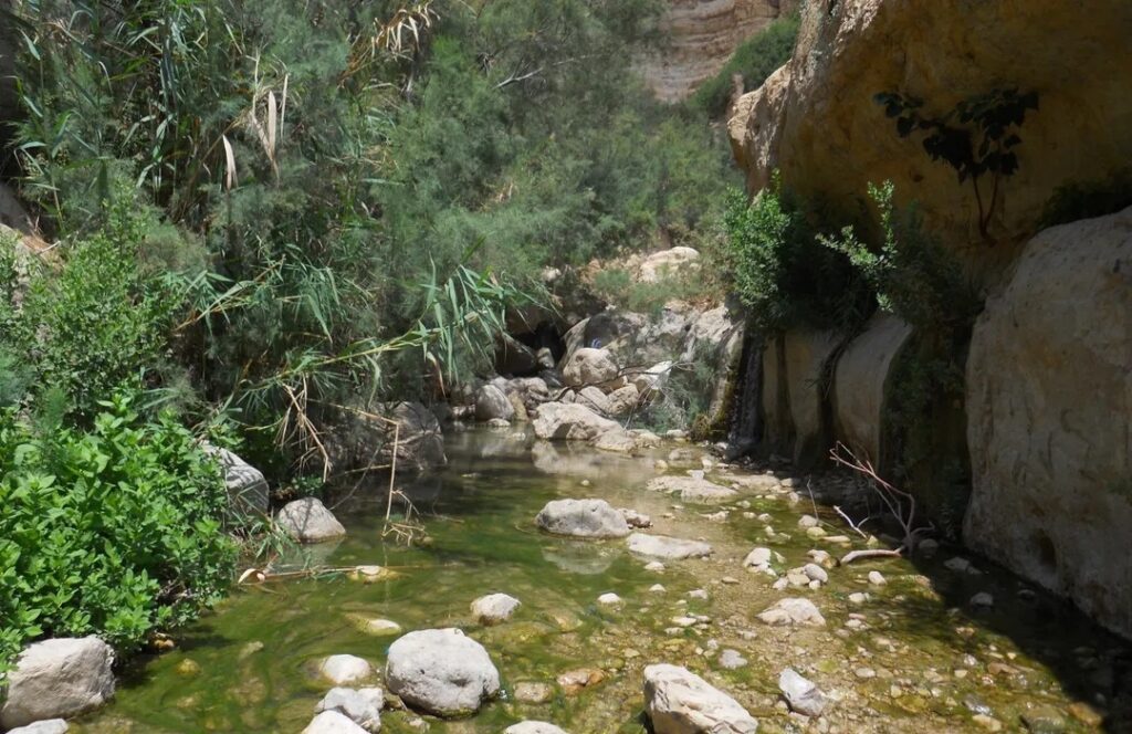 Ein Gedi Nature Reserve, Ein Gedi – Hike to Desert Waterfalls