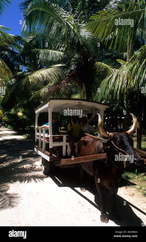 La Passe, La Digue – Quaint Island Village