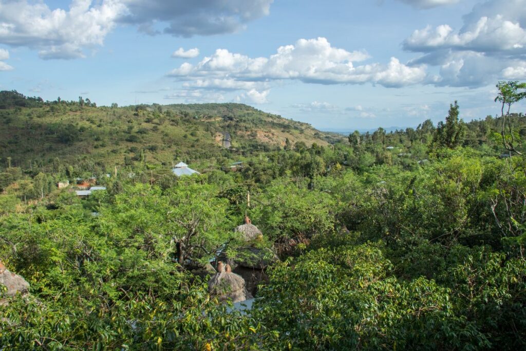 Konso Cultural Landscape – Terraced Farming Traditions