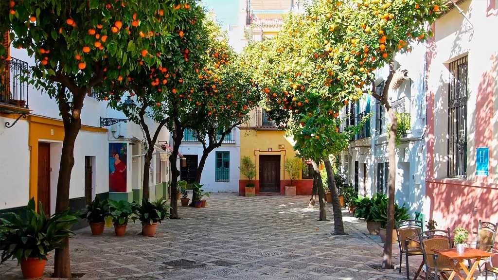 Santa Cruz Neighborhood in Seville: Charming Old Jewish Quarter