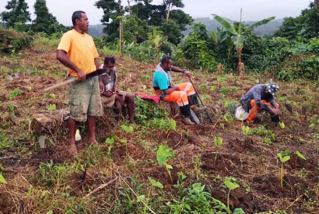 Nabukelevu Village: Heart of Kadavu