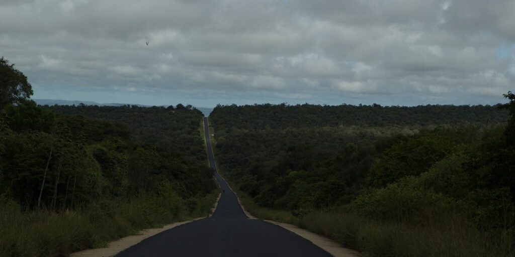 Zombitse-Vohibasia National Park: Rare Bird Watching in Sakaraha